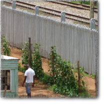 East Rand Walling - PRASA - Concrete Palisade
